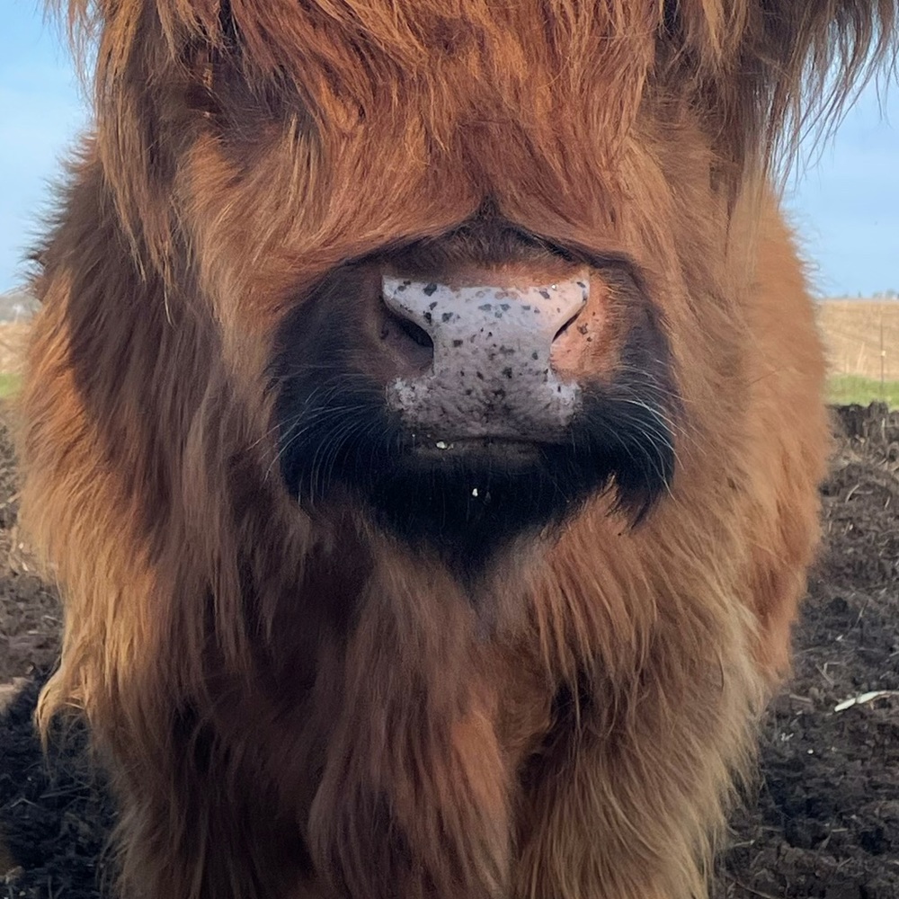 Meet your Posher, Tarah